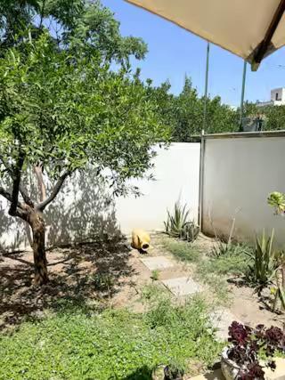 Origini - Apartment With Private Garden 莱切 外观 照片